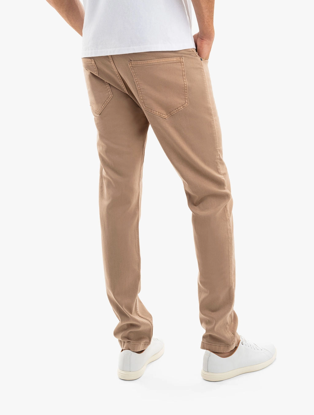 Mustangs Contemporary Vibe